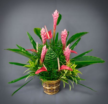 Tropical Flowers Arrangements Leis Puna Ohana Flowers