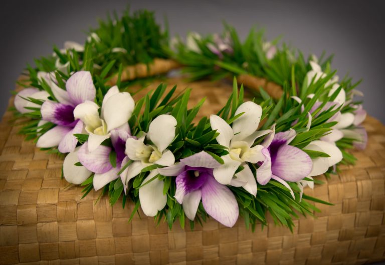 Haku Orchid Lei - Puna Ohana Tropical Flowers & Leis